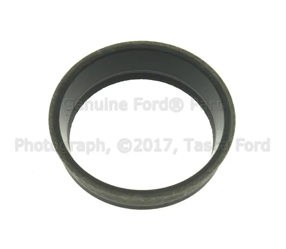 Air Duct Seal - Ford (-W302506)