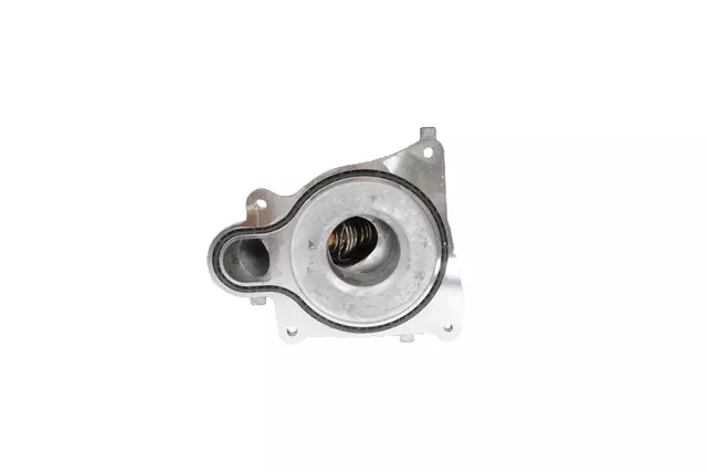 Water Pump Cover with Thermostat Housing, Thermostat, Gaskets, and Bolts - GM (12600023)