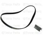 A/C Compressor Belt - ACDelco (12658178) - view 10