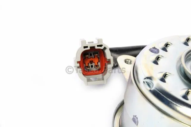 Engine Cooling Fan Motor - GM (19316319)