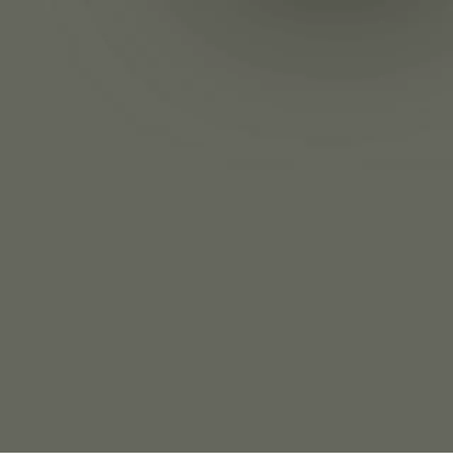 Gunmetal Metallic (WA368M) Four-In-One Touch-Up Paint - .5 oz Pen - GM (19367919)