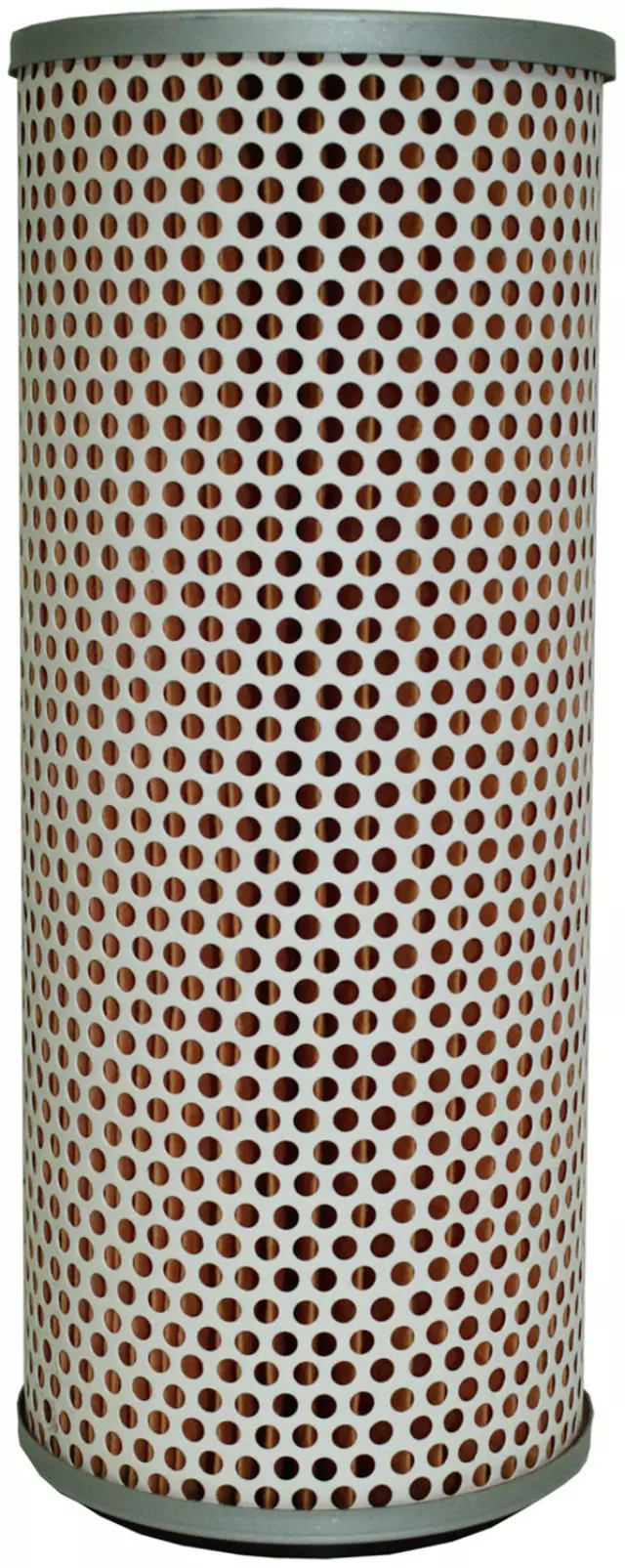 Filter - GM (89002976)