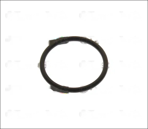 Thermostat Bypass Pipe Seal - GM (94011602)