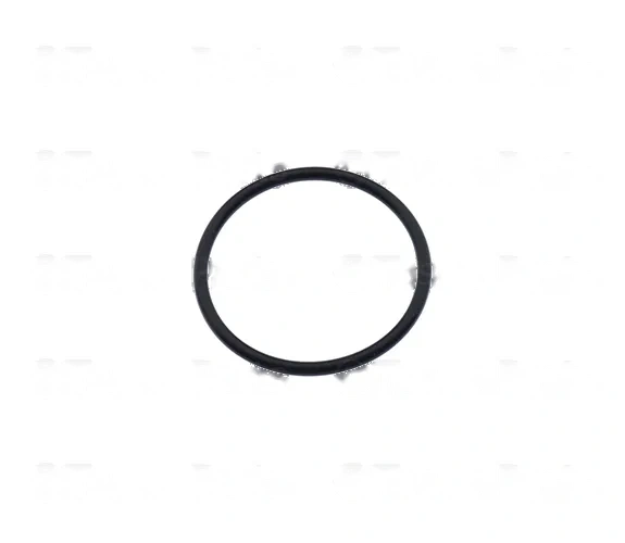 Thermostat Bypass Pipe Seal - GM (94011603)
