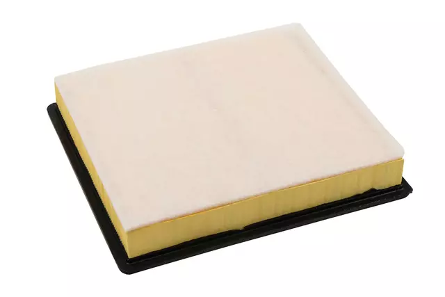 Air Filter - ACDelco (A3175C) - view 2
