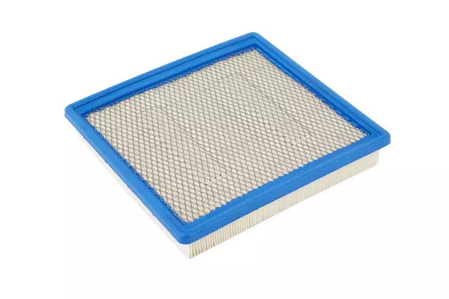Air Filter - ACDelco (A3195C)