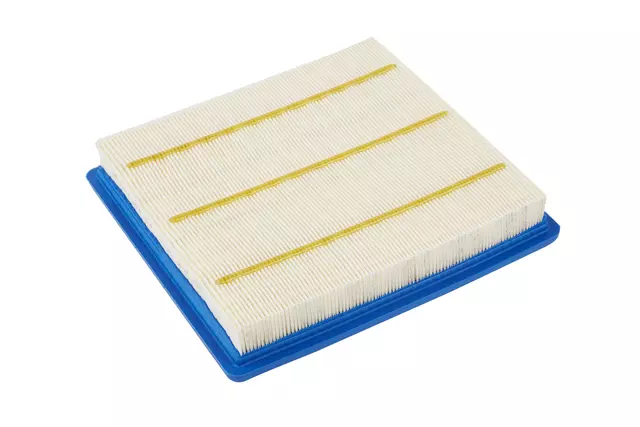 Air Filter - ACDelco (A3195C) - view 4