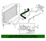 Radiator Coolant Hose - Ford (BB5Z-8260-E) - view 7
