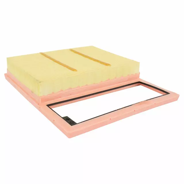 Air Filter - Ford (DG9Z-9601-A) - view 2