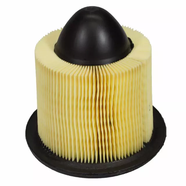 Engine Air Filter - Ford (F5OZ-9601-BA) - view 4