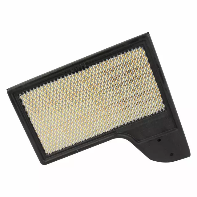 Air Filter - Ford (FR3Z-9601-A) - view 2