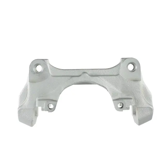 Caliper Mount - Ford (nz6z2b292c)