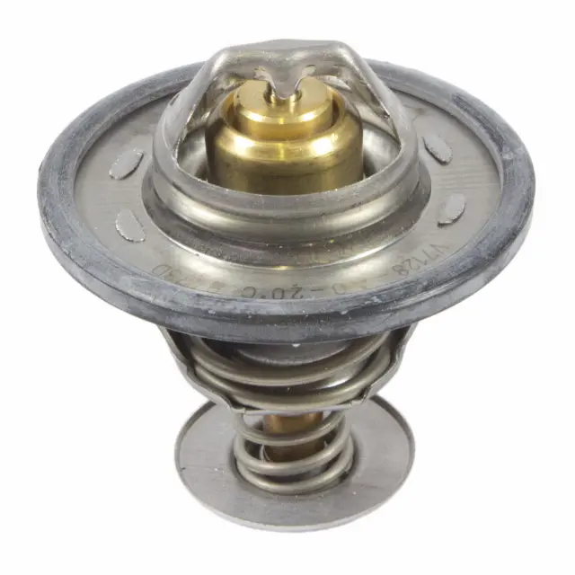 Motorcraft Engine Coolant Thermostat - Ford (rt1207)